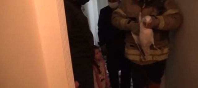 Banyodan gelen sesi duydu! Görünce şaşkında döndü! O anlar kamerada.
