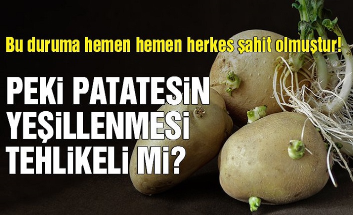 Patatesin çillenmesi, yeşillenmesi tehlikeli mi? Peki patatesin faydaları nelerdir?